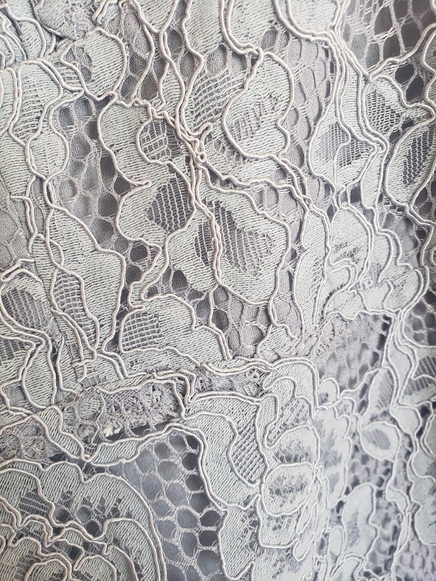 Fame and Partners Corded Evening Dress